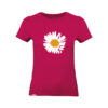Sorbet #b1154b